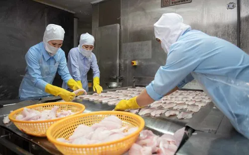 Nông lâm thủy sản xuất siêu hơn 8,4 tỉ đô la sau 5 tháng