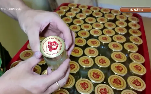 Đà Nẵng tăng cường xử lý vi phạm an toàn thực phẩm
