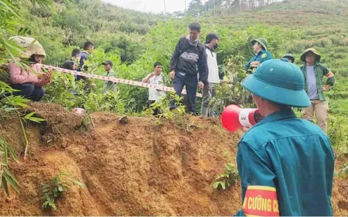 Lâm Đồng cưỡng chế, khôi phục hơn 7,3ha đất lâm nghiệp bị lấn chiếm trái phép
