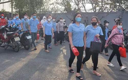 Doanh nghiệp trốn đóng bảo hiểm xã hội hết thời "mưu mẹo"