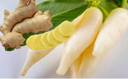 Bí quyết dưỡng sinh theo mùa: Vì sao củ cải được trọng dụng vào mùa đông, còn gừng lại lên ngôi mùa hè?