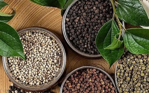 Bản tin nông sản hôm nay (5-6): Giá cà phê quay đầu giảm, giá hồ tiêu đi ngang