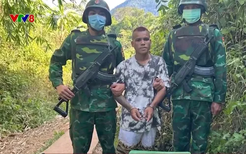 Quảng Trị: Bộ đội Biên phòng triệt phá tụ điểm ma túy tại khu vực biên giới