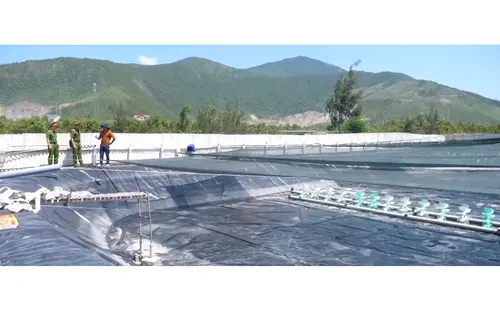 Cảnh báo mất an toàn từ các vùng nuôi tôm trên cát