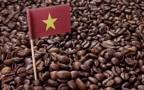Bản tin nông sản hôm nay (7-6): Giá cà phê tiếp tục giả