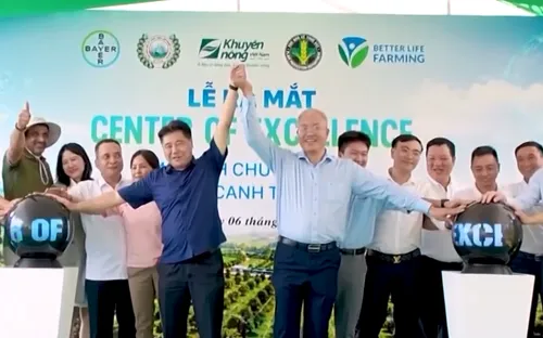 Chuyển giao công nghệ canh tác bền vững cho sầu riêng và cà phê Tây Nguyên