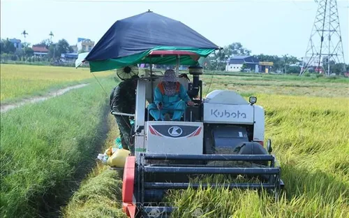 Nông dân nâng tầm, nông nghiệp nâng chất