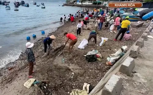 Dạy trẻ nhặt rác, lan tỏa ý thức bảo vệ đại dương từ đảo Trí Nguyên