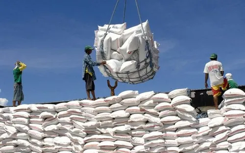 Giá gạo xuất khẩu Việt Nam biến động nhẹ giữa lo ngại El Nino, Philippines tiếp tục dẫn đầu nhập khẩu