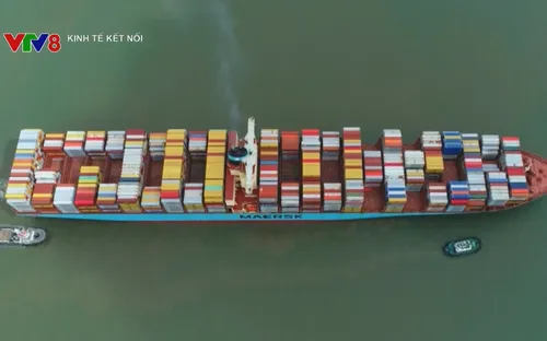 Xuất khẩu chịu sức ép từ cước vận tải biển tăng cao