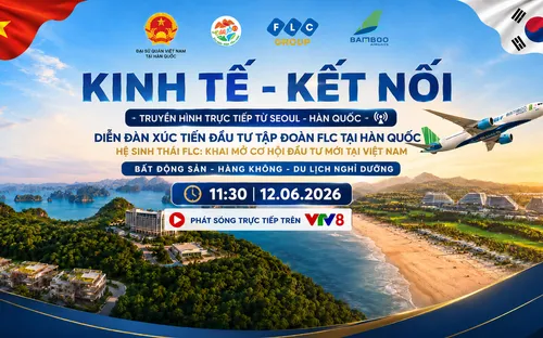 VTV8 THTT 11:30 12/6 từ Seoul: Diễn đàn xúc tiến đầu tư Việt Nam - Hàn Quốc