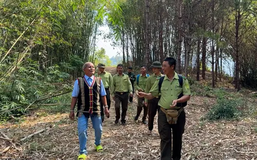Giao ước xanh giữ màu đại ngàn Tà Đùng