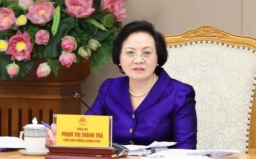 Kiện toàn Ban Chỉ đạo quốc gia về hài cốt liệt sĩ, Phó Thủ tướng Phạm Thị Thanh Trà làm Trưởng ban