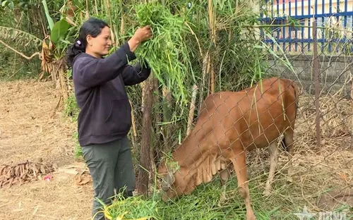Nguồn vốn chính sách - “điểm tựa” của đồng bào dân tộc thiểu số
