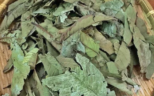 Nhiều người mắc sai lầm khi dùng nước mát gan, tưởng bổ nhưng có thể gây hại sức khỏe