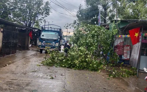 Lốc xoáy tại Quảng Ngãi: Hàng chục nhà dân tốc mái ở xã Sơn Linh