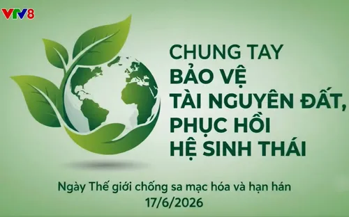 Hưởng ứng Ngày Thế giới chống sa mạc hóa và hạn hán 17/6: Hành động giữ màu xanh cho đất