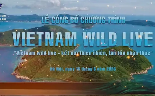 VTV ra mắt dự án truyền hình trực tiếp thiên nhiên hoang dã