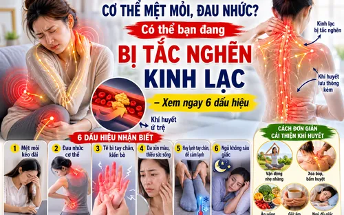 Cơ thể mệt mỏi, đau nhức? Có thể bạn đang bị tắc nghẽn kinh lạc - xem ngay 6 dấu hiệu