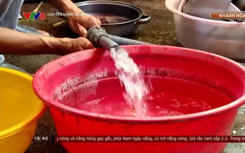 Khánh Hòa: Thiếu nước sinh hoạt, ảnh hưởng cuộc sống cả ngàn hộ dân