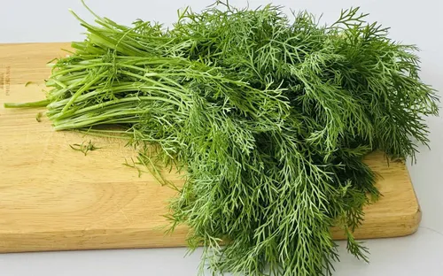 Rau thì là: Loại rau quen thuộc giúp giảm đau bụng kinh, hỗ trợ ngăn ngừa trầm cảm