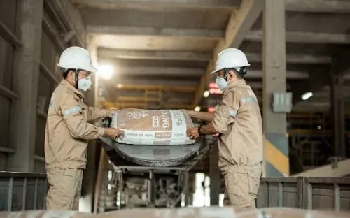 Tiêu thụ xi măng khởi sắc, Vicem báo lãi hơn 500 tỷ đồng