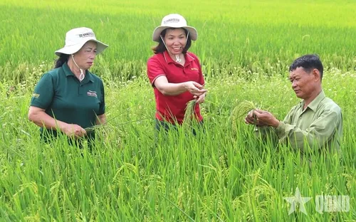 Mở rộng giá trị nông nghiệp qua xuất khẩu giống cây trồng