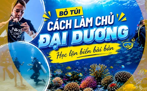 Bỏ túi cách khám phá đại dương vịnh Nha Trang một cách chủ động và an toàn nhất