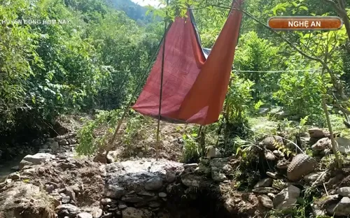 Ngăn chặn khai thác vàng trái phép ở Yên Na, Nghệ An: Không để rừng phòng hộ tiếp tục “chảy máu”