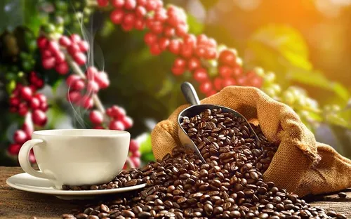 Giá cà phê quay đầu giảm sau khi áp sát mốc 90.000 đồng/kg, gạo xuất khẩu Việt Nam hạ nhiệt
