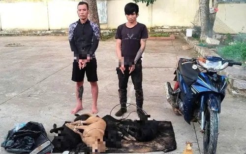 Trộm chó manh động dùng súng điện chống trả lực lượng truy bắt ở Lâm Đồng