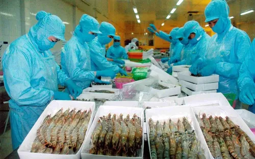 Minh bạch nguồn gốc hải sản - Chìa khóa nâng cao giá trị xuất khẩu thủy sản Việt Nam