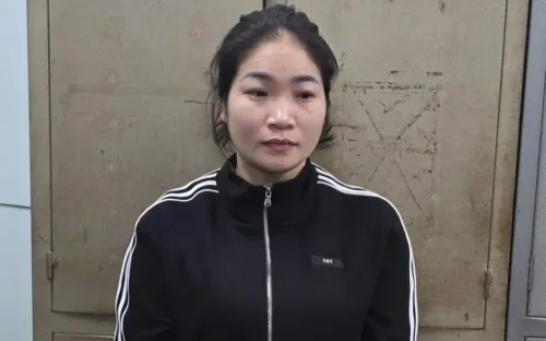 Khởi tố người phụ nữ nhận làm thủ tục đất đai, chiếm đoạt hơn 4,6 tỷ đồng