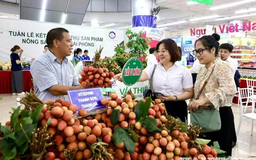 Dự kiến 700 - 1.000 doanh nghiệp tham gia Tháng khuyến mại Hải Phòng