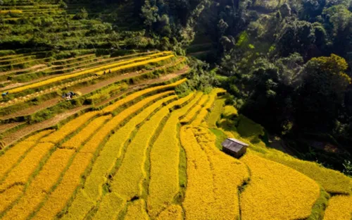 Khám phá vẻ đẹp hoang sơ của Cao Bằng: Hành trình chạm tới miền non nước kỳ vĩ
