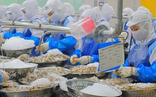 Xuất khẩu thủy sản tăng gần 13%, ngành tôm kỳ vọng đưa kim ngạch cả năm vượt 12 tỷ USD