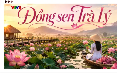 Đồng sen Trà Lý – Điểm nhấn du lịch sinh thái giữa lòng Đà Nẵng