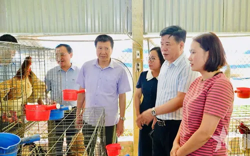 Thay đổi tư duy sản xuất ở vùng cao Lào Cai