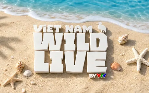 12h30 (25/6) - Lần đầu tiên thiên nhiên hoang dã tại Hòn Trứng (Côn Đảo) được truyền hình trực tiếp