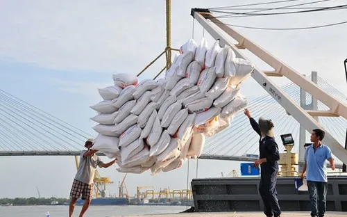 Xuất khẩu gạo nửa đầu năm 2026 đạt 2,36 tỷ USD, tín hiệu phục hồi xuất hiện trên thị trường quốc tế