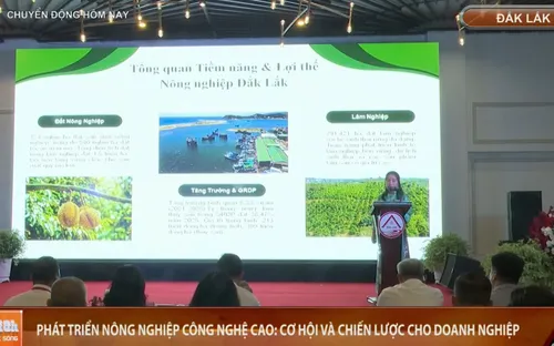 Phát triển nông nghiệp công nghệ cao: Cơ hội và chiến lược cho doanh nghiệp