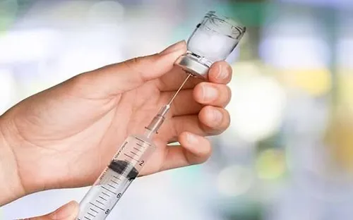 Đã tiêm vắc xin phòng dại sau khi bị chó cắn, có cần tiêm thêm vắc xin cho chó không?