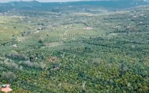 Đắk Lắk mở "luồng xanh" cho các dự án trọng điểm
