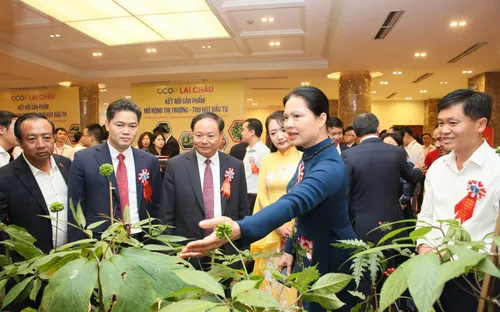 Lai Châu mở "luồng xanh" đón dòng vốn hơn 199.000 tỷ đồng