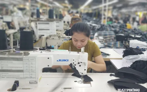 7 nguồn lực hỗ trợ doanh nghiệp tận dụng các hiệp định thương mại tự do