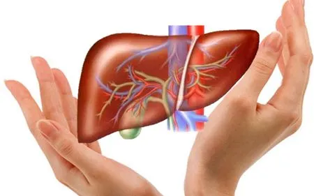 Bộ Y tế thúc đẩy phòng, chống viêm gan virus, hướng tới mục tiêu loại trừ bệnh vào năm 2030