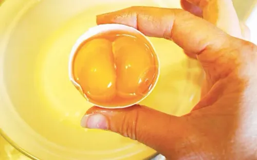 Hút sống lòng đỏ trứng gà có thực sự bổ dưỡng?