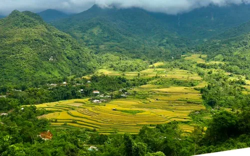 Choáng ngợp mùa lúa chín Đồng Phúc, nơi những bậc thang vàng vươn tới mây trời