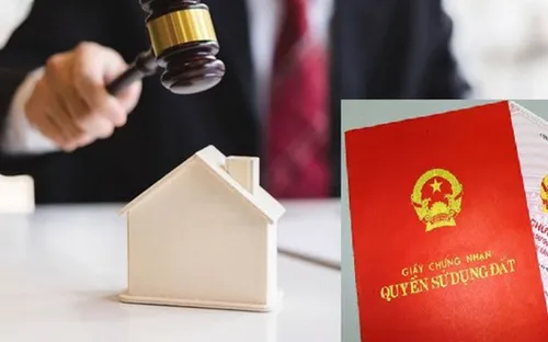 Đề xuất tăng tiền đặt trước đấu giá đất lên tối đa 50% để ngăn chặn đầu cơ, "thổi giá"