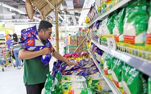 Đà tăng tốc 8,18% và dấu mốc của nhịp tăng trưởng mới